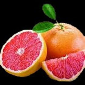 Meet your Posher, Carter